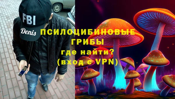 PSILOCYBIN Верхнеуральск