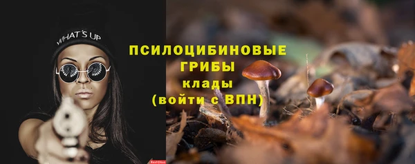 PSILOCYBIN Верхнеуральск